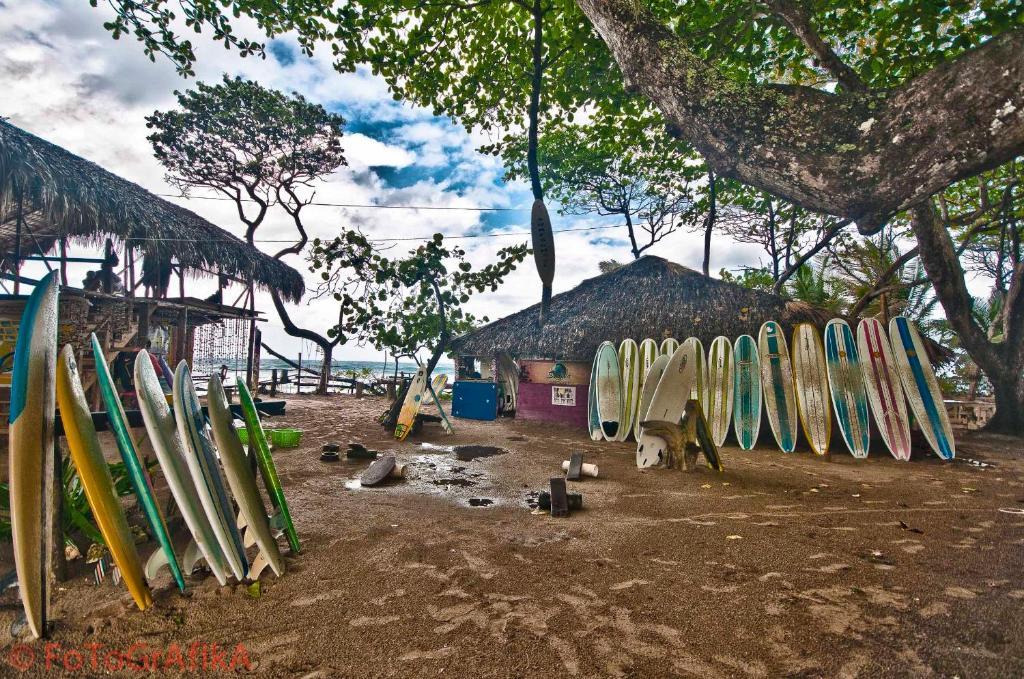 Cabarete Surf Camp Hotel Exterior foto