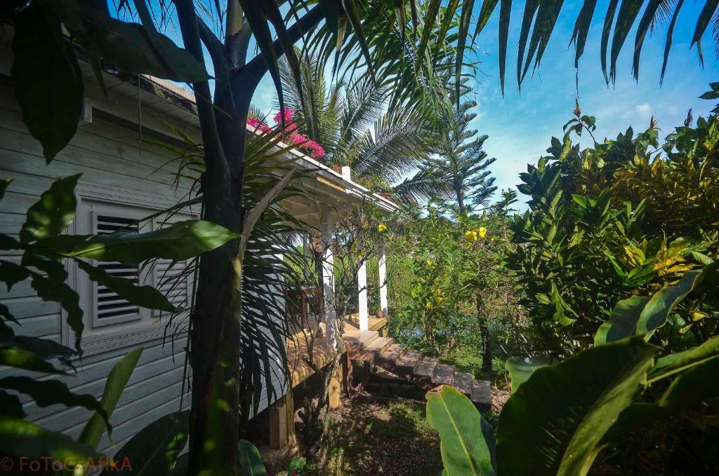 Cabarete Surf Camp Hotel Exterior foto