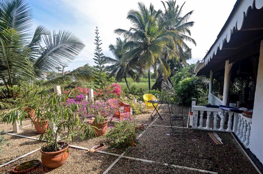 Cabarete Surf Camp Hotel Exterior foto