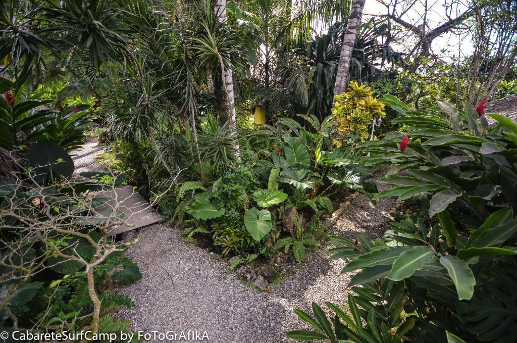 Cabarete Surf Camp Hotel Exterior foto