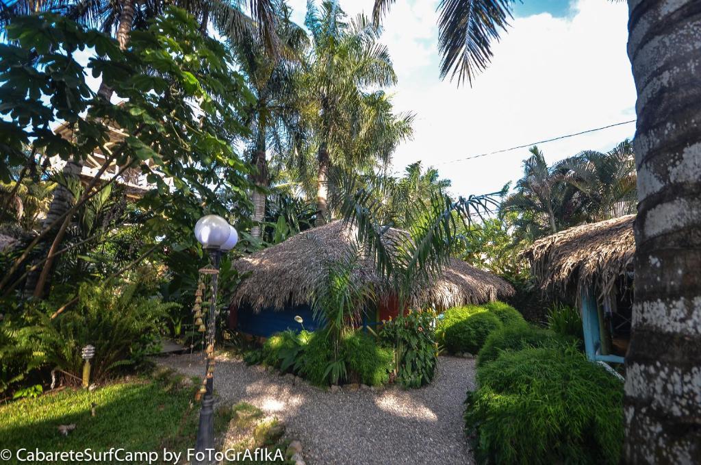 Cabarete Surf Camp Hotel Exterior foto
