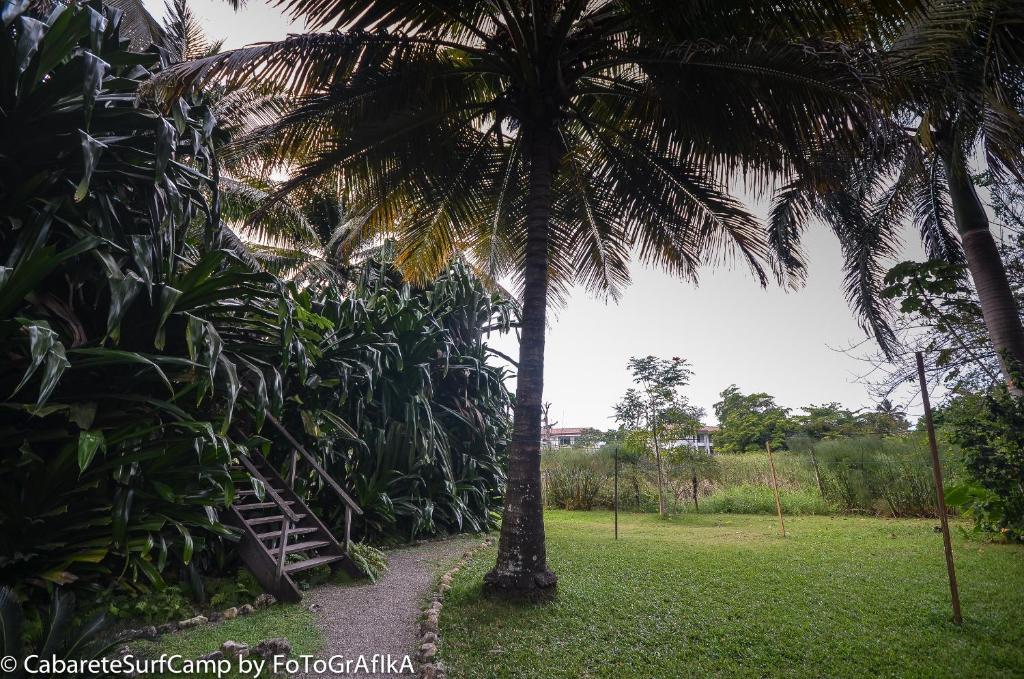 Cabarete Surf Camp Hotel Exterior foto