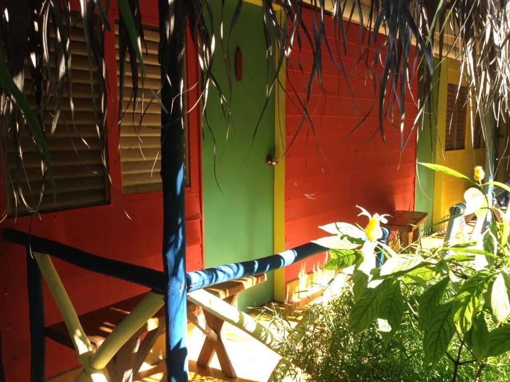 Cabarete Surf Camp Hotel Exterior foto