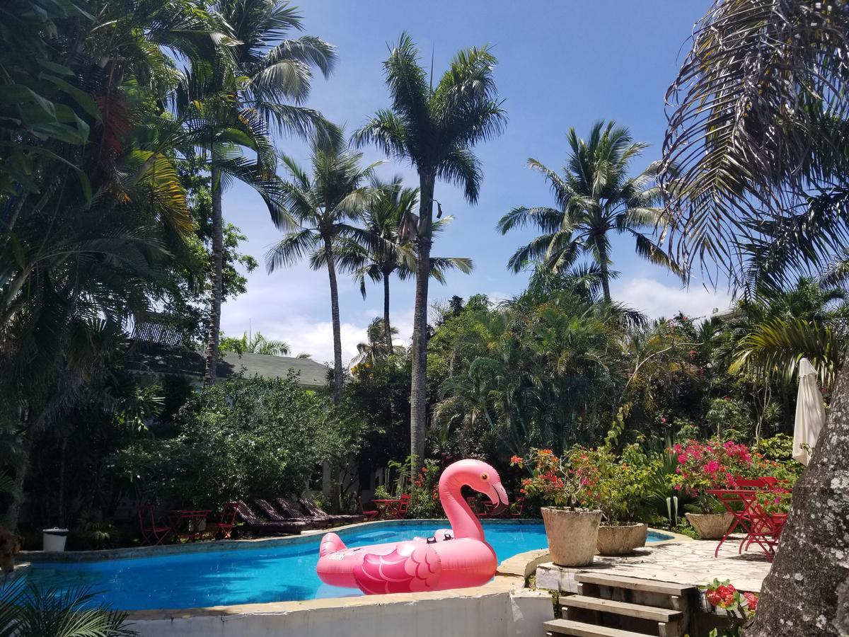 Cabarete Surf Camp Hotel Exterior foto
