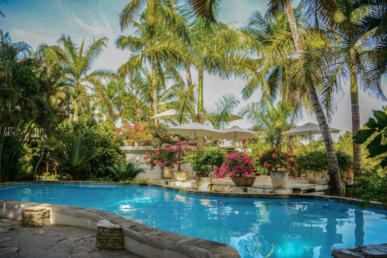 Cabarete Surf Camp Hotel Exterior foto